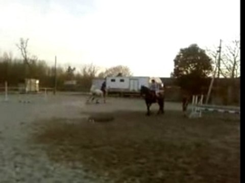 Josco des Isles et Sox