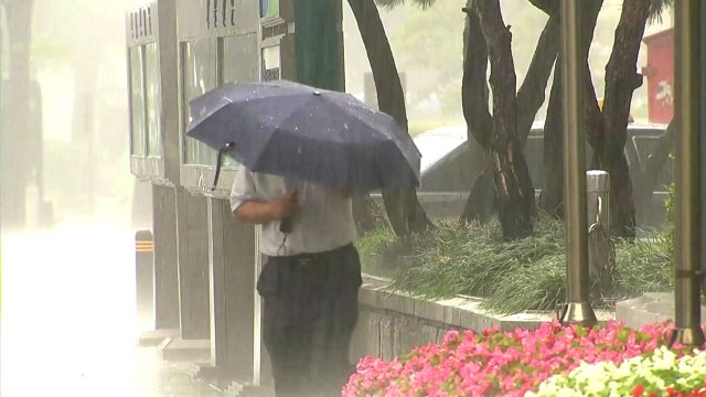 [날씨] 폭염특보 속 오후 소나기...주말 장맛비 / YTN