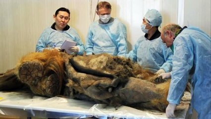 Los 5 descubrimientos más impresionantes encontrados bajo el hielo