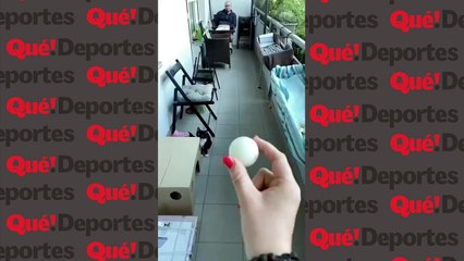 El gato "Ronaldo" termina en el suelo