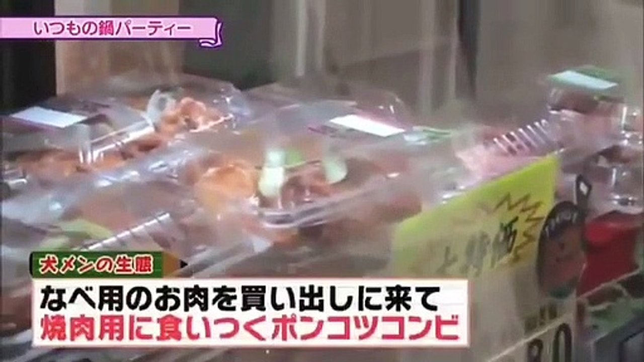 46時間テレビ 犬メンパーティーその1