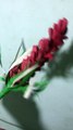 Flower origami / Flower paper / Flower handmade / Flower diy demo