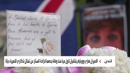 هاري وويليام ينحيان خلافاتهما جانبا من أجل الاحتفال بالذكرى الستين لميلاد والدتهما