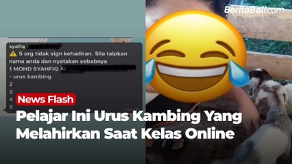 Pelajar Ini Urus Kambing Yang Melahirkan Saat Kelas Online