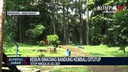 Terdampak PPKM Darurat! Bonbin Bandung Buka Donasi