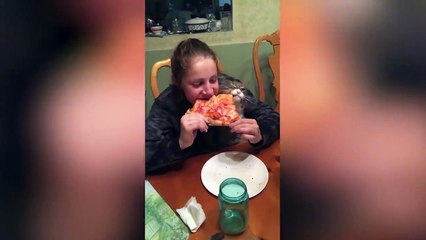 Cute and Funny Cat Videos to Keep You Smiling!