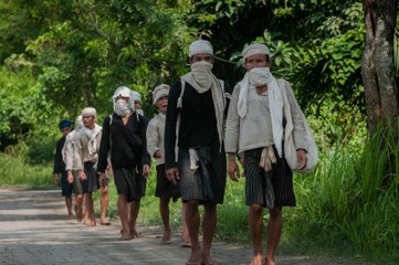 Setahun Pandemi, Suku Baduy Nol Kasus Covid-19