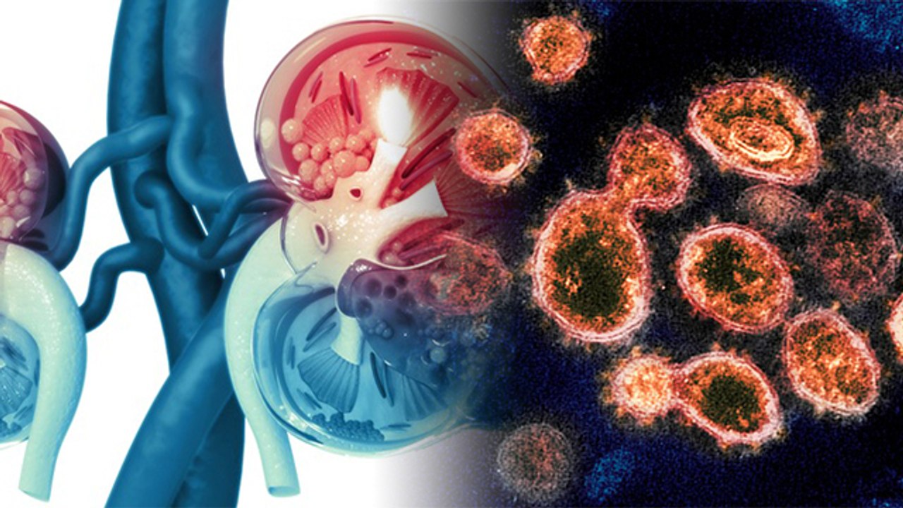 Delta Variant Covid से क्या Kidney Fail होने का खतरा, Symptoms ना करें नजरअंदाज | Boldsky