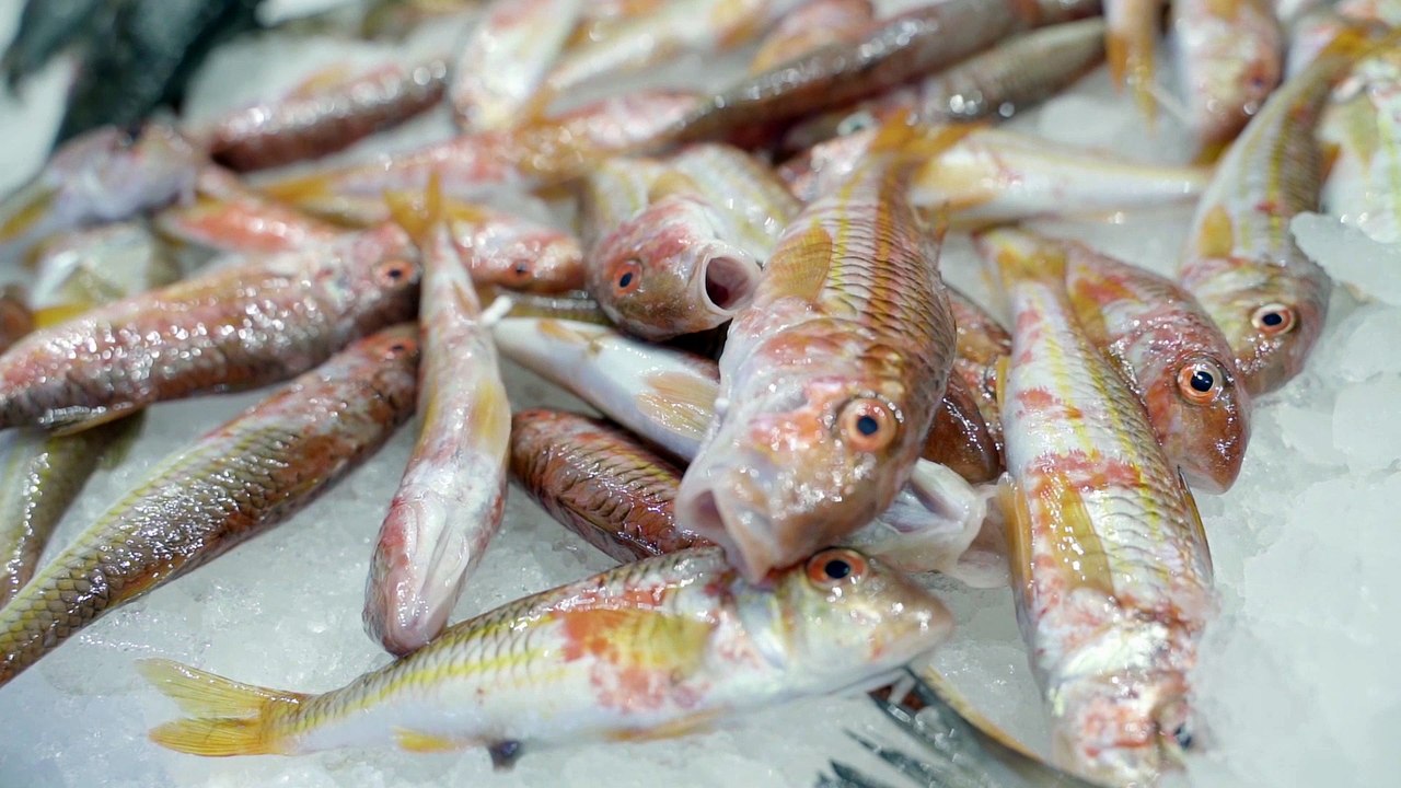 Slow Fish 2021: lasciatevi stupire dal mare, non mangiate il fritto
