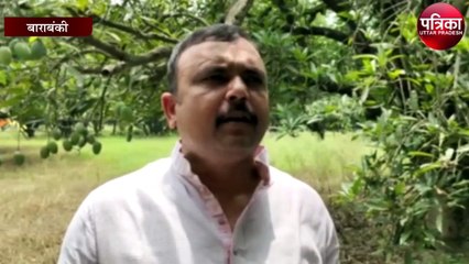 बेहद खास है बाराबंकी का यकुति आम, दूर-दूर तक इस किस्म के चर्चे