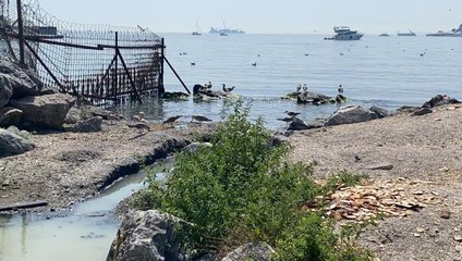 KADIKÖY'DE DENİZE AKAN 'RENKLİ SU' ENDİŞESİ