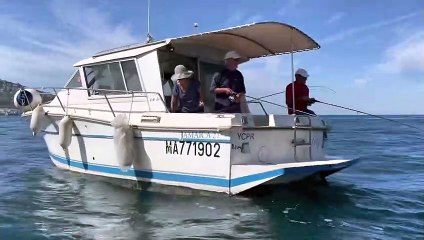 Challenge Y - Pêche à soutenir 26 juin 2021 - YCPR Marseille