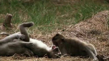 When Nature Calls With Helen Mirren S01E01