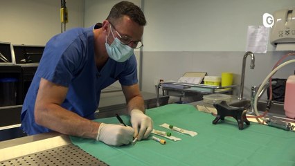 Reportage - Rencontre avec un préparateur en anatomie