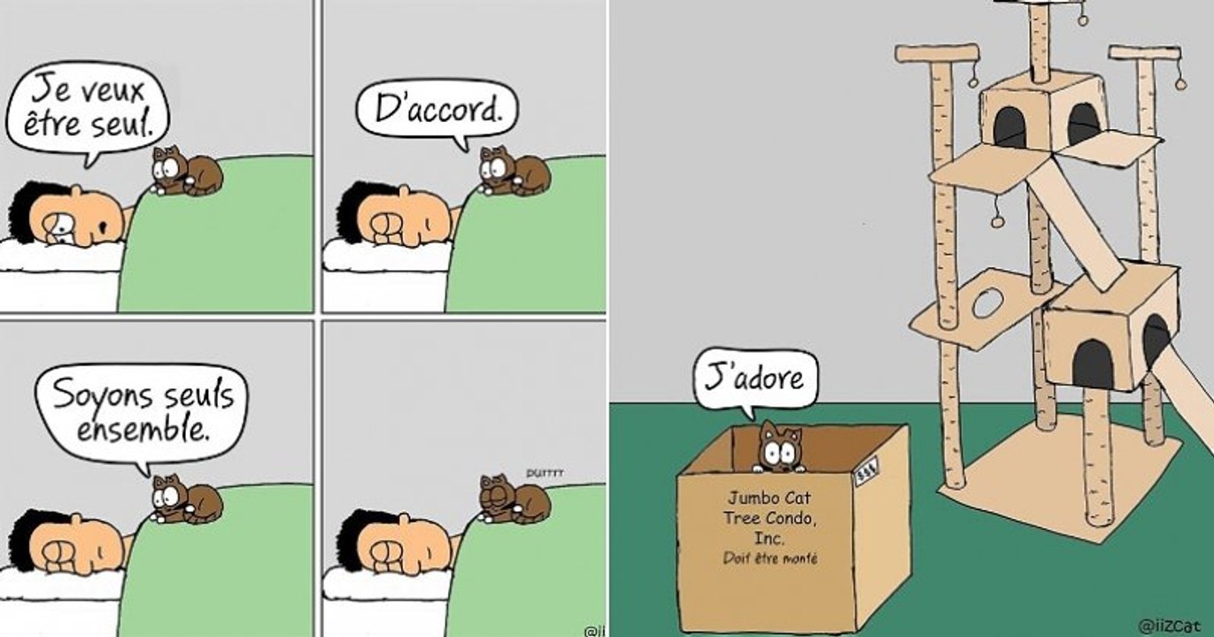 Cet illustrateur montre avec beaucoup d'humour à quel point la vie est géniale quand ton chat te laisse vivre chez lui