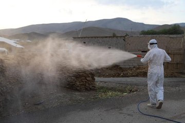 PİRE VE BİT KABUSU YAŞANAN MAHALLEDE İLAÇLAMA ÇALIŞMASI