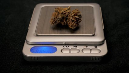 Cannabis Sales See High Times for 4th of July