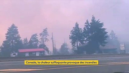 Canada : la chaleur suffocante provoque des incendies