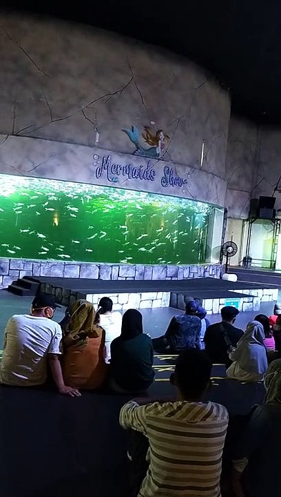 MERMAIDS SHOW OCEAN DREAM SAMUDRA ANCOL