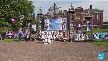William and Harry put differences aside to unveil Princess Diana statue
