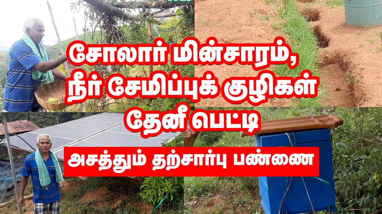 தமிழ்நாட்டில் இப்படி ஒரு பண்ணையா?.. சோலார், நீர் சேமிப்புக் குழி, தேனீ பெட்டி -அசத்தும் பண்ணை!