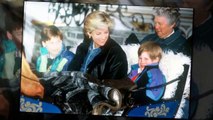 Princesse Diana - voici à quoi ressemble la statue en son honneur dévoilée par William et Harry