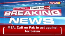 'Raised Matter With Pak' MEA On Pak Drone Ploy NewsX