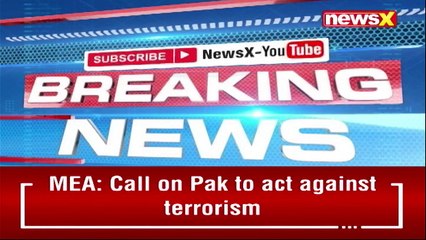 'Raised Matter With Pak' MEA On Pak Drone Ploy NewsX