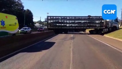 Caminhão carregado com suínos colide com guard-rail da BR-277, após descer desgovernado de uma oficina que fica na marginal