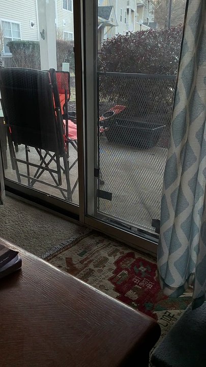 Cat Gets Rowdy Over Raindrops