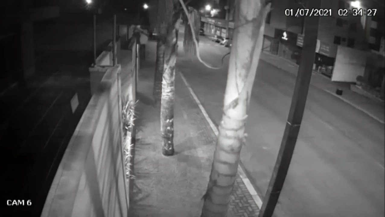 Vídeo mostra movimentação de ladrões durante arrombamento e furto a empresa de Petshop