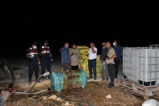 Aksaray'da tarlada biriken suyu içen 164 koyun telef oldu