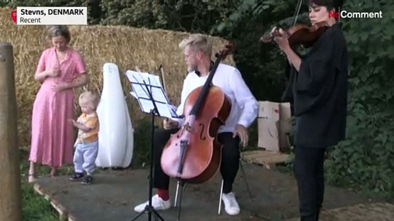 In Denmark, cows can enjoy live classical moo-sic