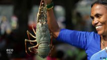Mumbai serves up sustainable seafood