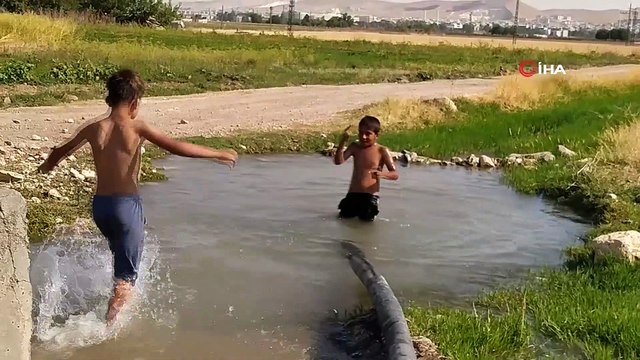Sıcaktan bunalan güvercinler göletlerde serinledi