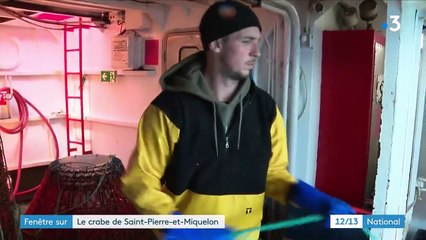 Saint-Pierre-et-Miquelon : pêcher le crabe des neiges, un véritable savoir-faire