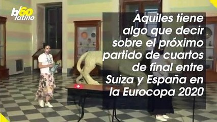 Gato Vidente Predice el Futuro de España en la Eurocopa 2020
