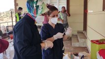 Amanos dağı eteklerinde aşı zorlu çalışmaları devam ediyor