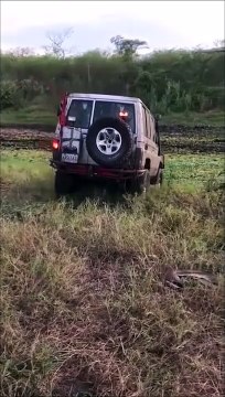 Quand tu penses que ton 4x4 est vraiment tout terrain