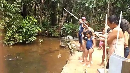 Il attrape un énorme poisson : pirarucu