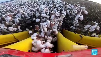 French launch probe into fashion groups including Zara, Uniqlo over Uyghur labour