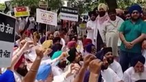 Punjab: Opposition parties stage protest against Amarinder Singh over power shortage