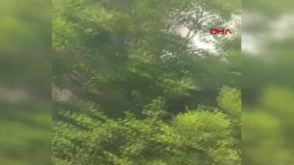 SAĞLIK ÇALIŞANLARI ORMAN YANGININI SÖNDÜRDÜ