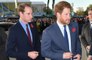 Stewart Pearce has suggested that Prince William and Prince Harry have achieved 'peace' amid feud