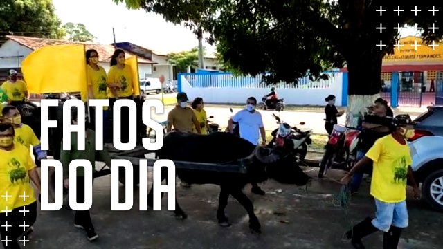 Ministra Damares circula em carroça puxada por búfalo em Soure