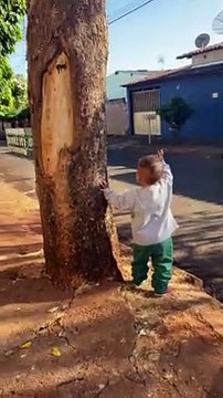 Cute Kid Waves at Garbage Collectors