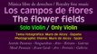 Los campos de flores ( Solo violin ) / The flower fields ( Violin only ) - Musica libre de derechos - Royalty free music