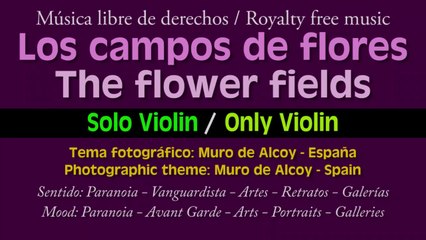 Los campos de flores ( Solo violin ) / The flower fields ( Violin only ) - Musica libre de derechos - Royalty free music