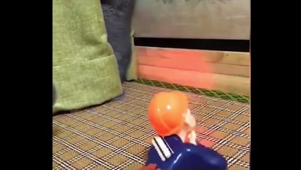 Cat Reaction To Playing -  Cute Pets And Funny Animals