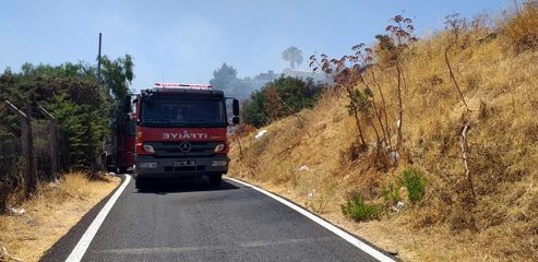 Son dakika haber | Bodrum'da otluk ve makilik alanda yangın çıktı